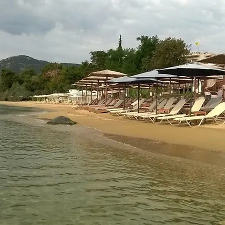 Thalatta * Palaiontsiflikion